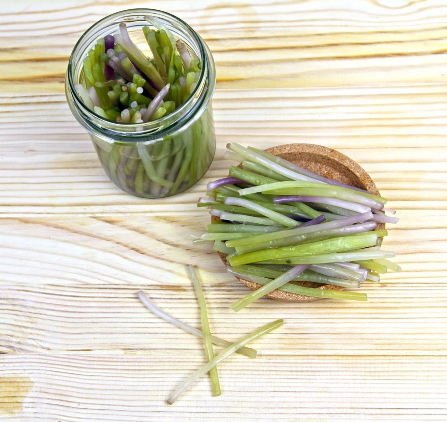 Блюда из щавеля