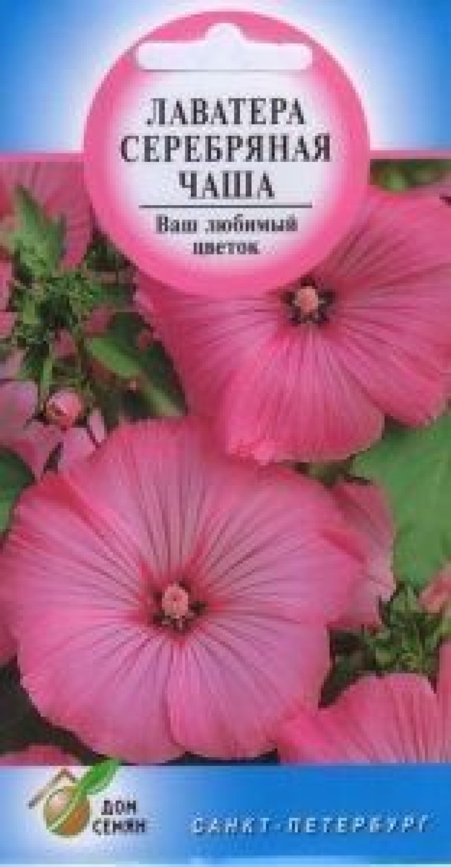 Лаватера серебряная чаша Гавриш