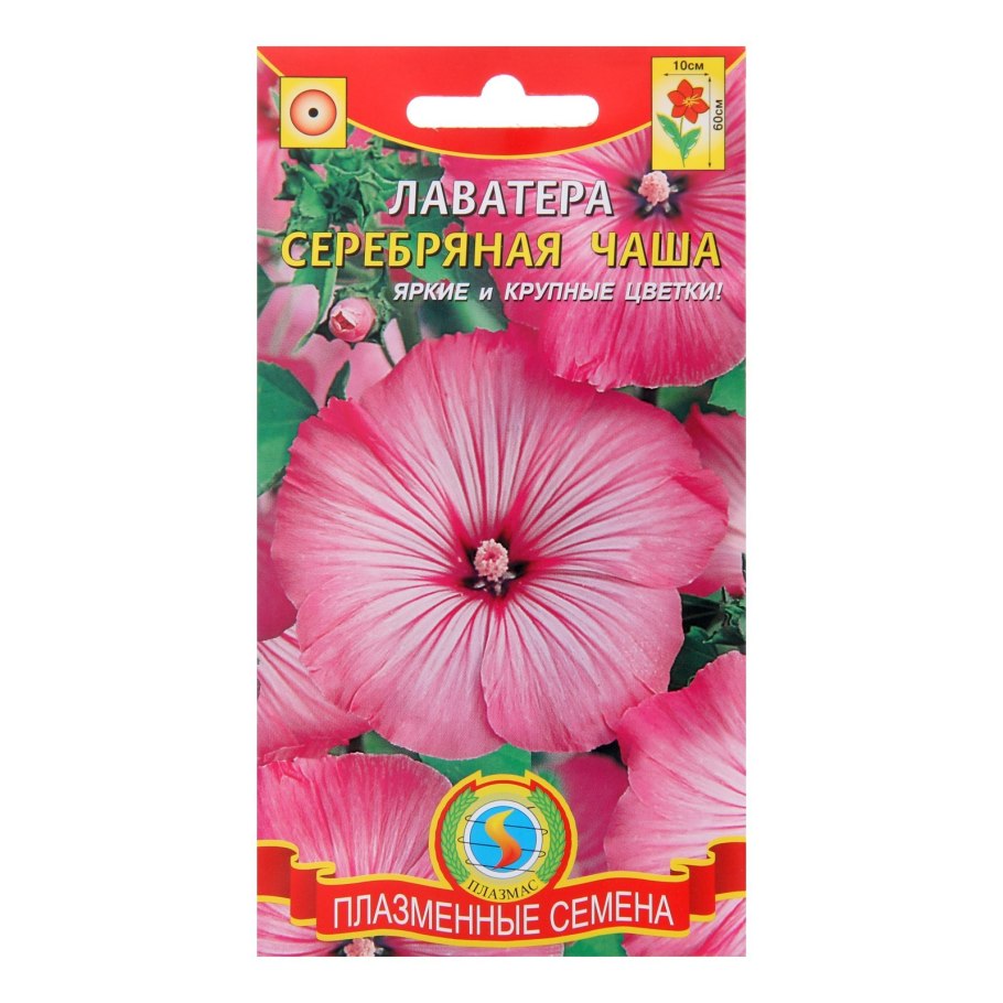 Лаватера махровая