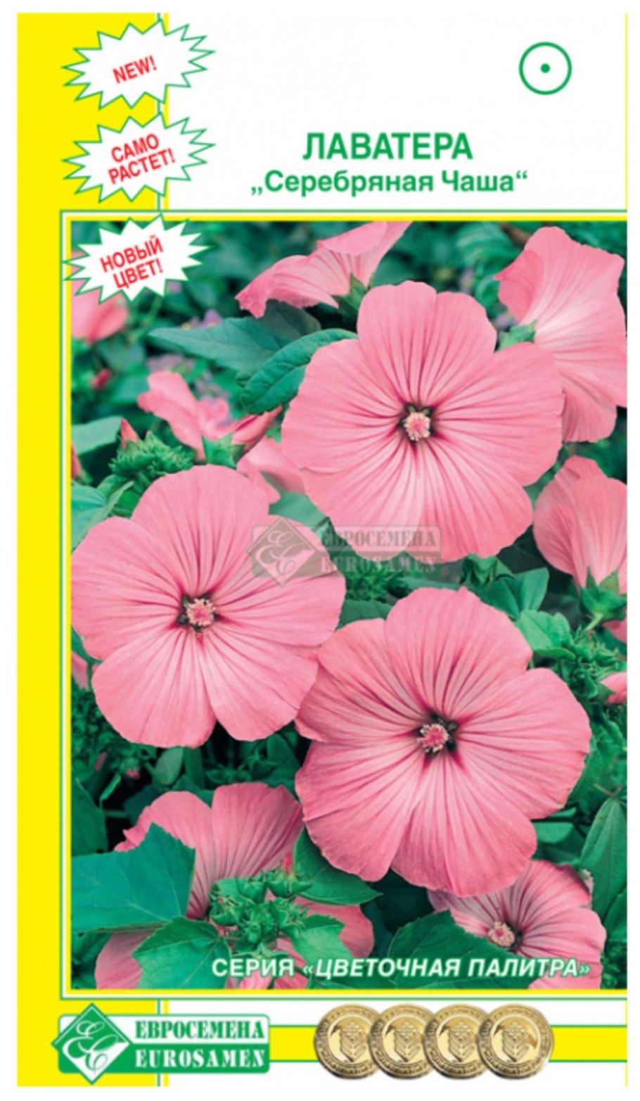 Лаватера серебряная чаша Гавриш