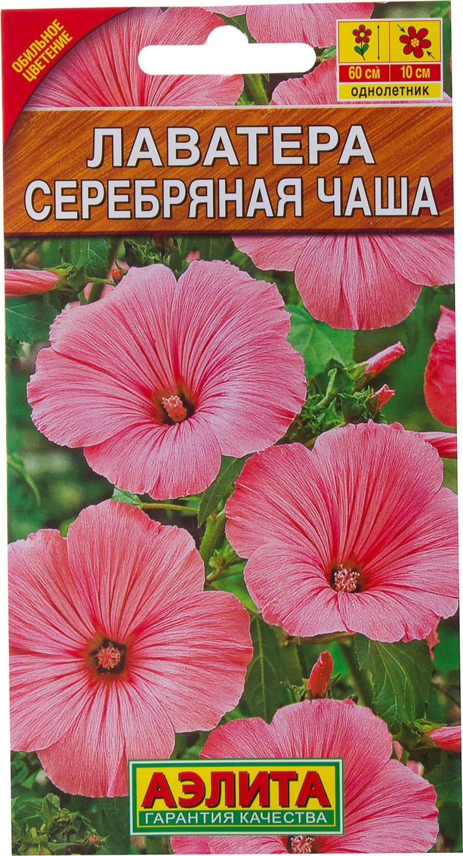 Лаватера Руби регис