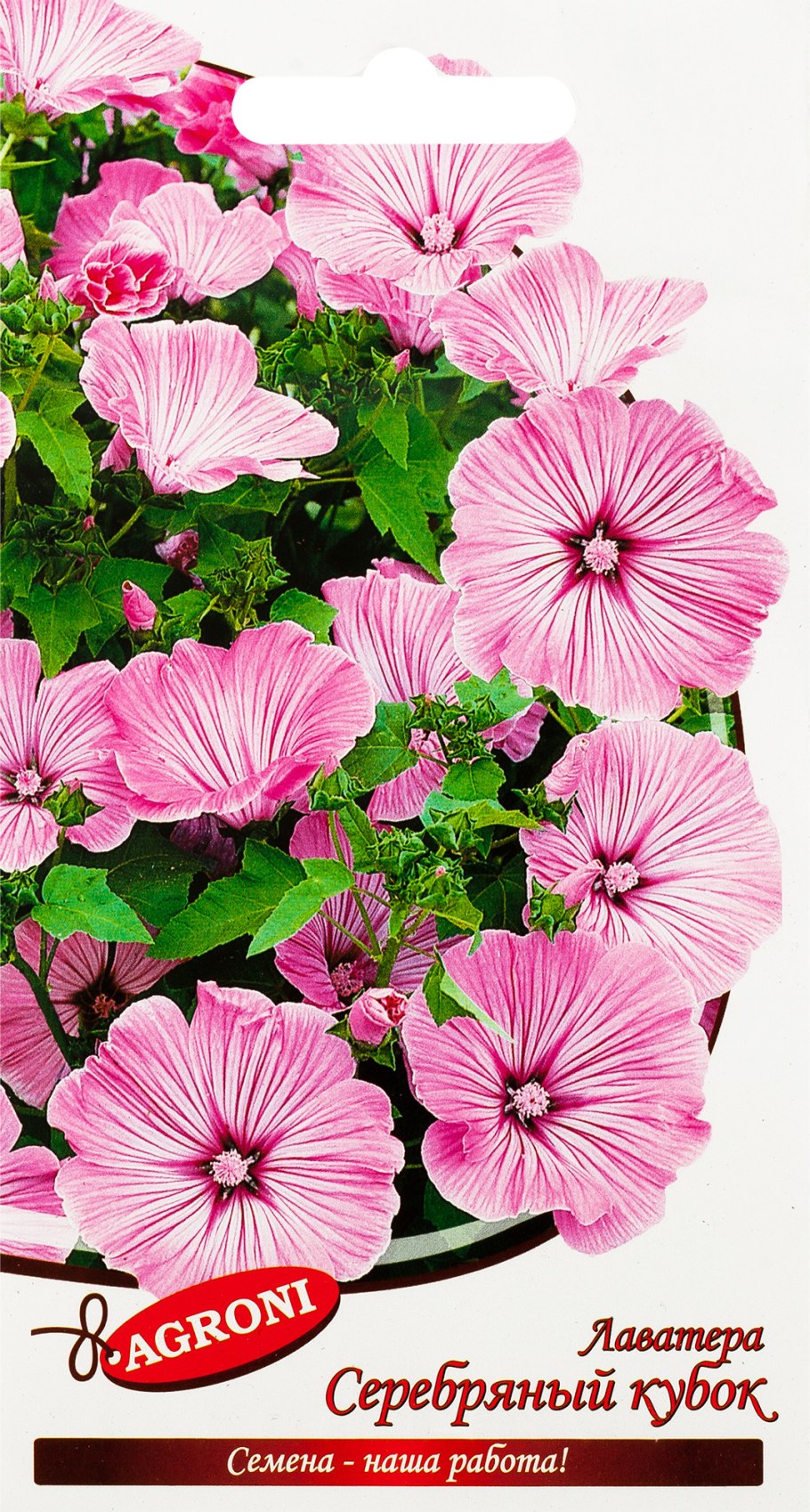 Лаватера Сильвер кап