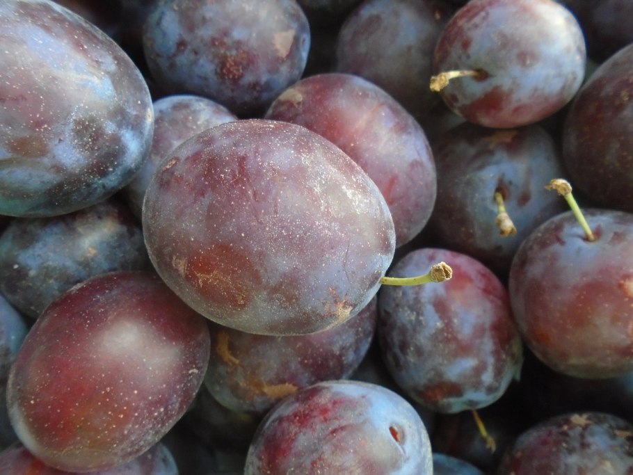 Слива Азербайджанская