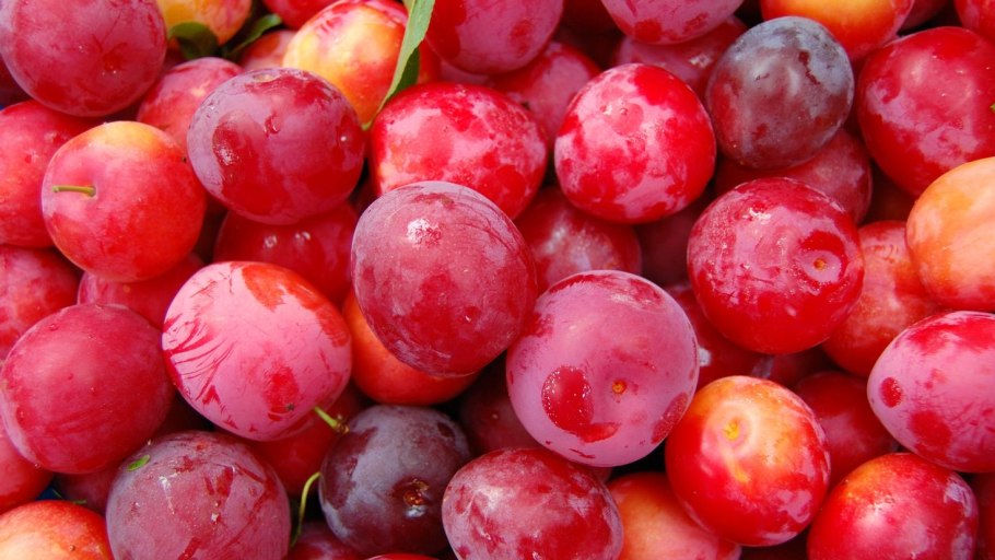 Слива жёлто-красная