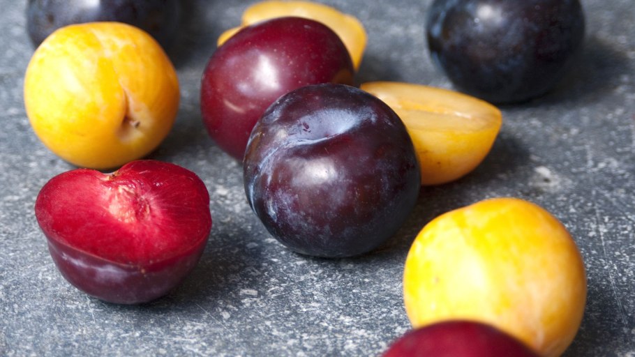 Картина слива для детей