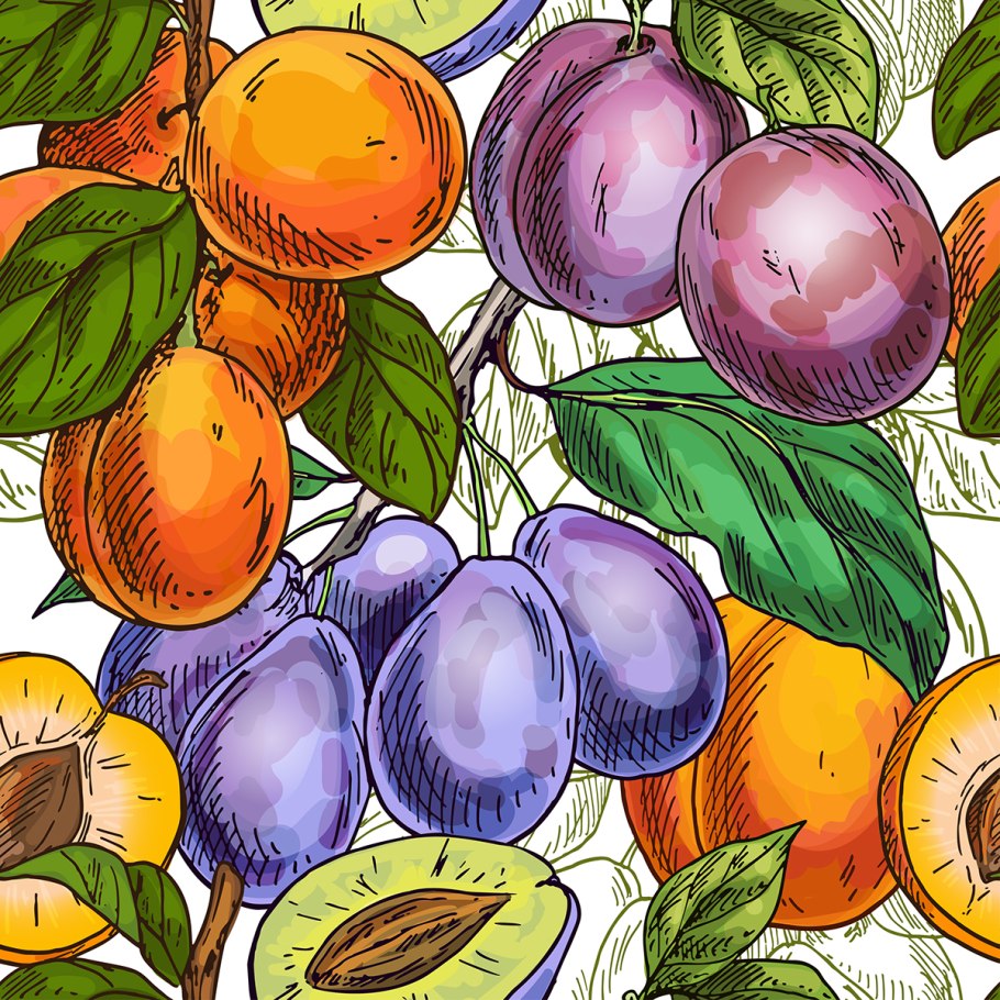 Алыча нарисовать