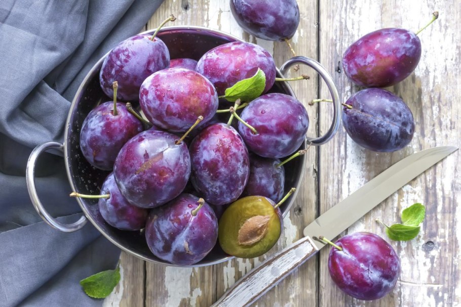 Слива Витебская поздняя