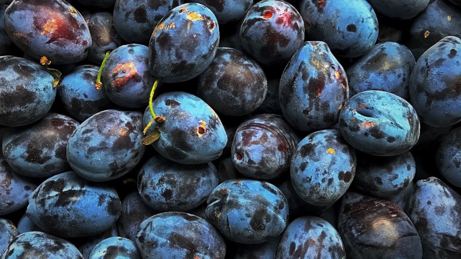 Венгерка итальянская слива