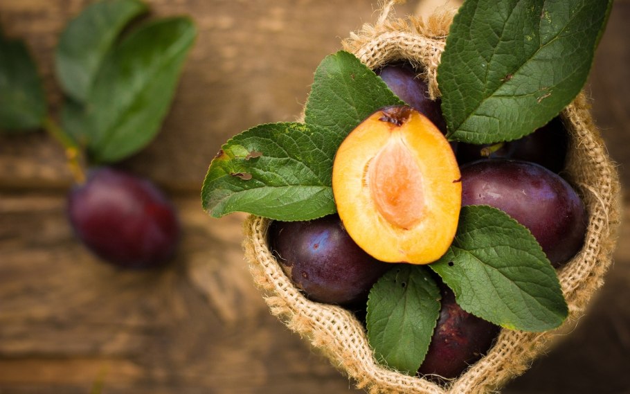 Слива Ренклод Советский