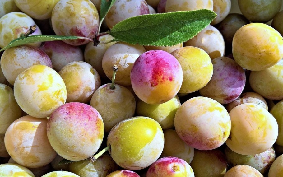 Алыча Мирабель