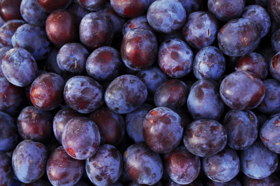 Лиловые сливы