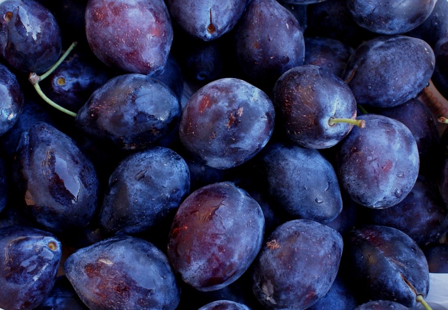 Слива на ветке