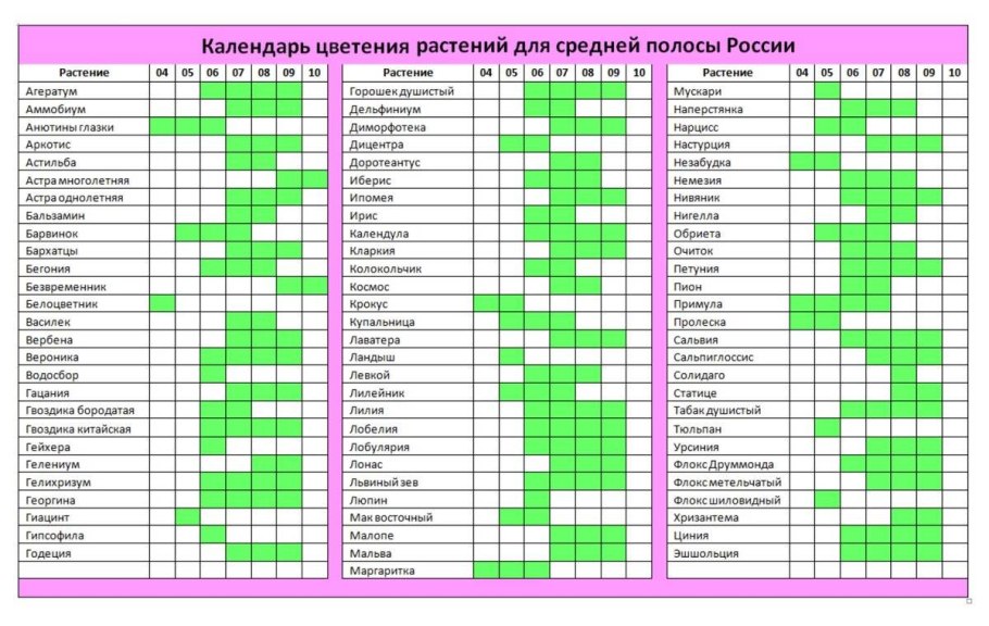 Таблица посева семян на рассаду в открытый грунт