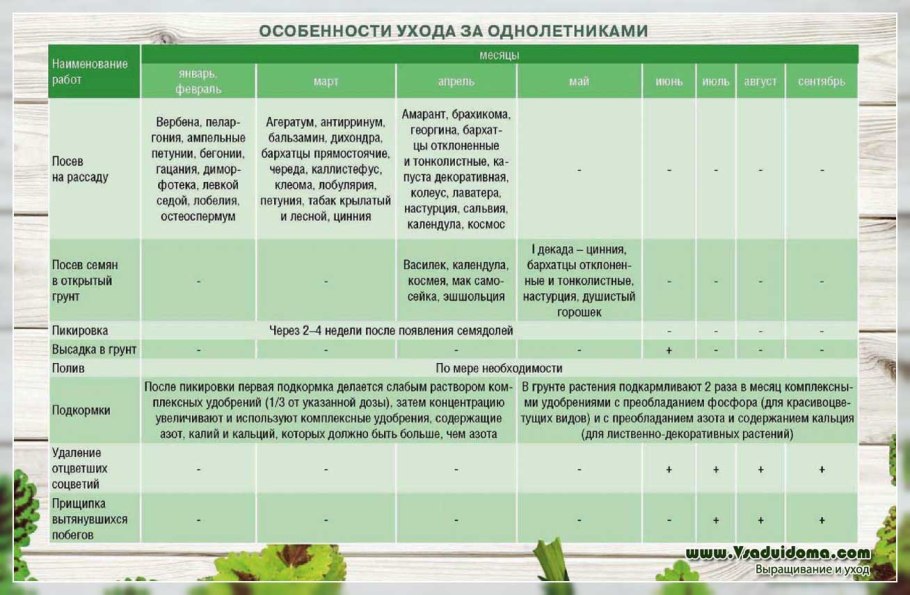 Схемы посева овощных культур