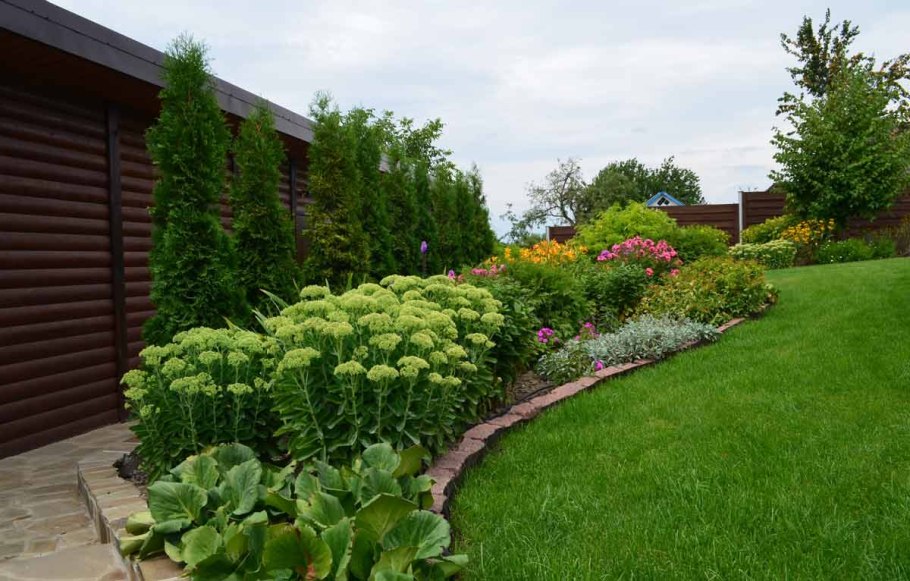 Миксбордеры с хвойниками
