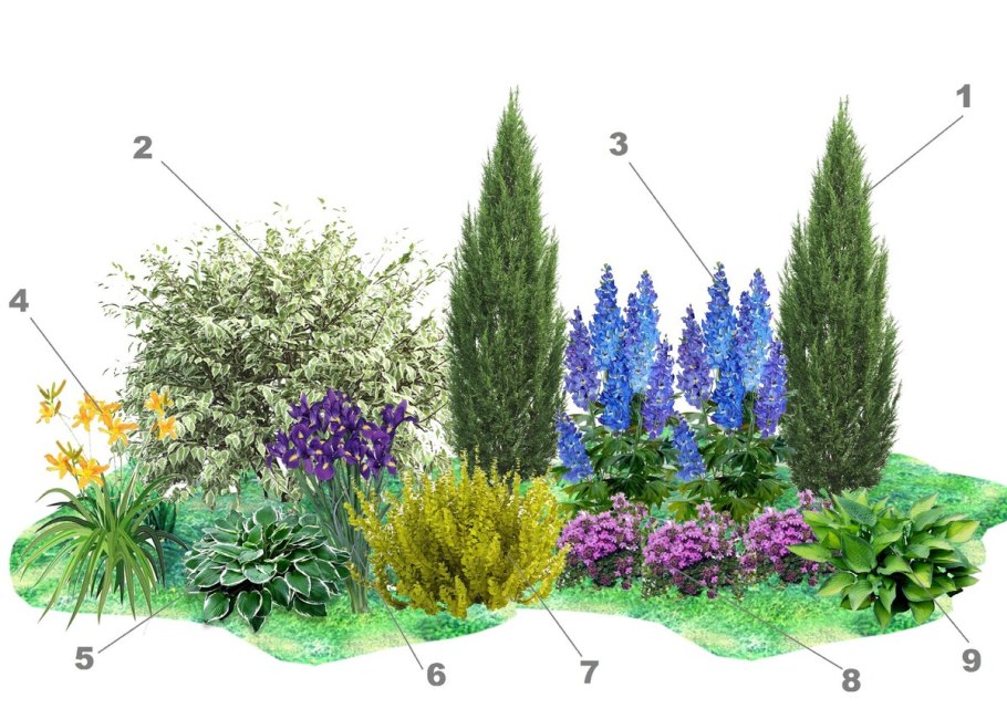 Мшанка с хвойниками