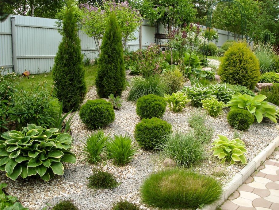 Миксбордер туя гортензия Барбарис можжевельник