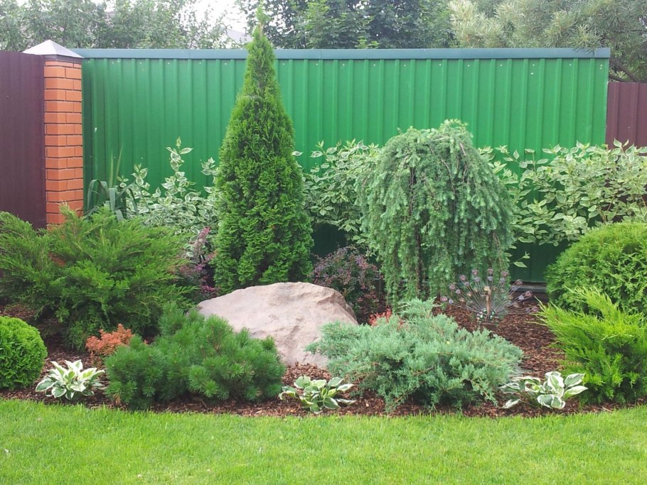 Мискантус в миксбордере