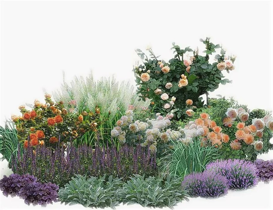 Огородный миксбордер