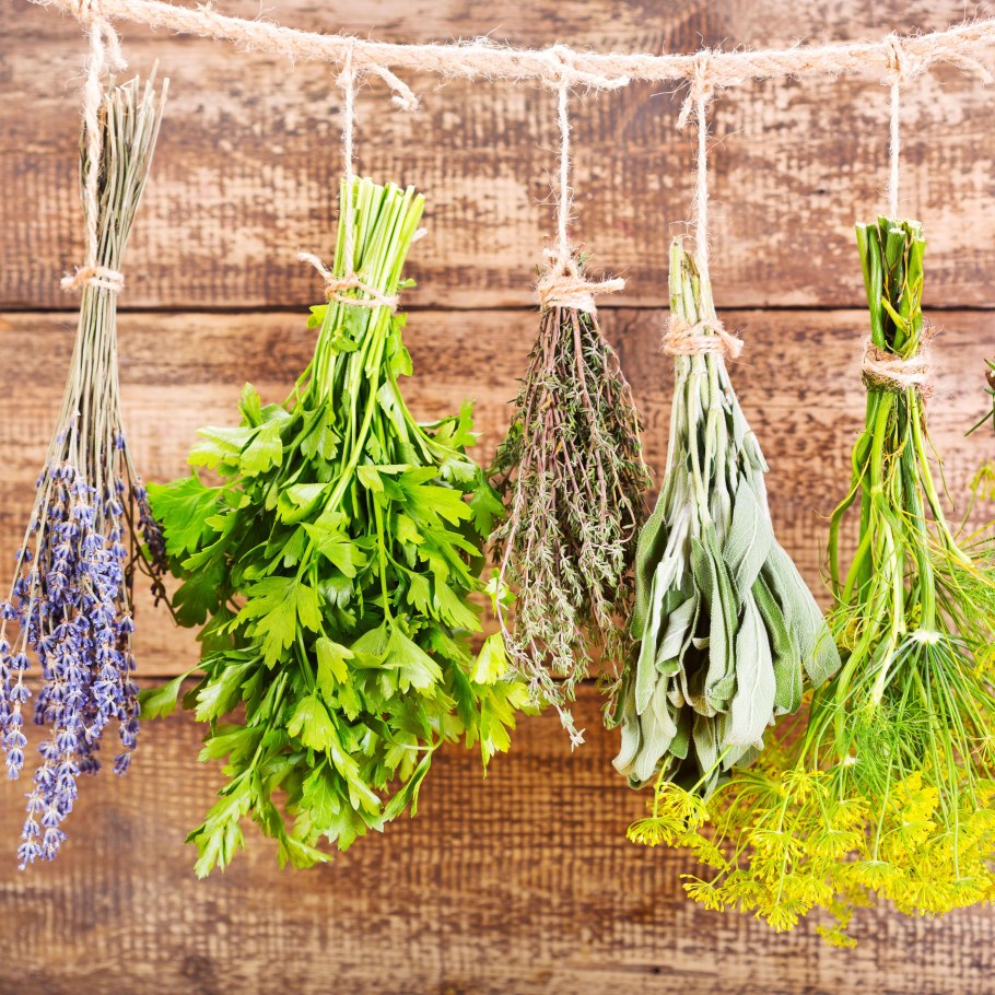 Мята Лаванда герань