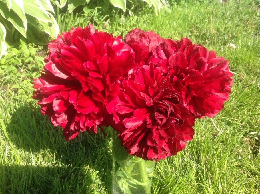 Генри Бокстос