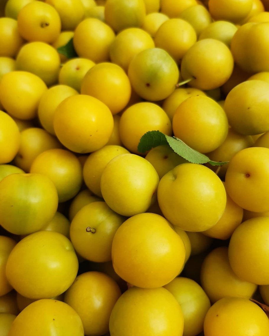 Кислая слива