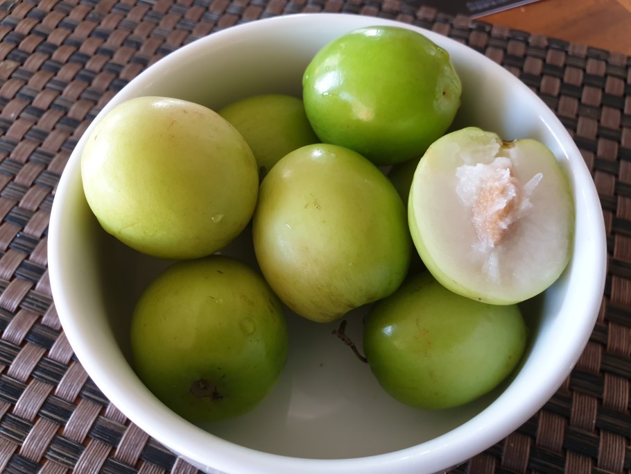 Алыча Грузинская зеленая