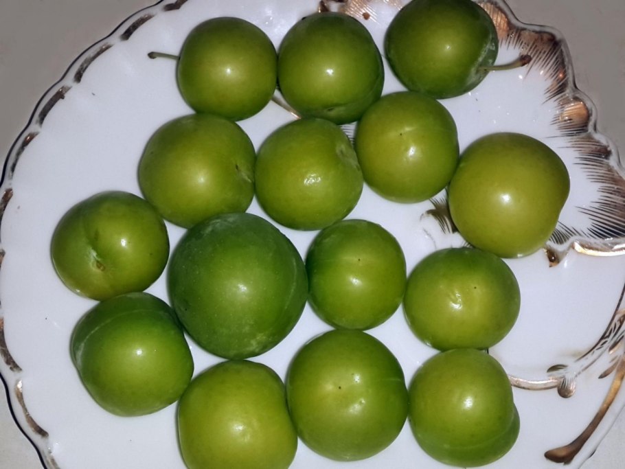 Алыча турецкая зеленая
