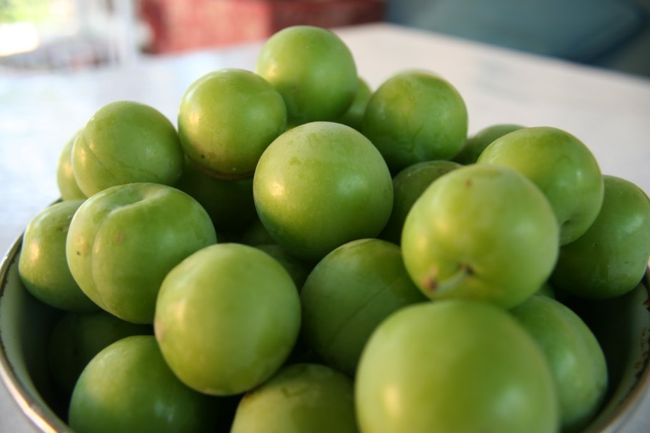 Куксултон меваси