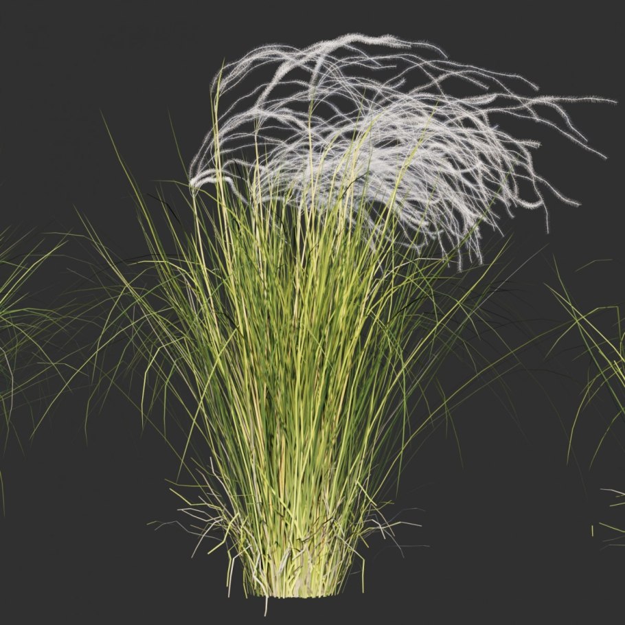 Трава на ветру