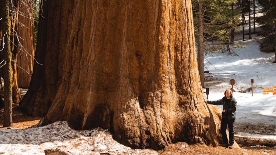 Национальный парк Секвойя Калифорния США