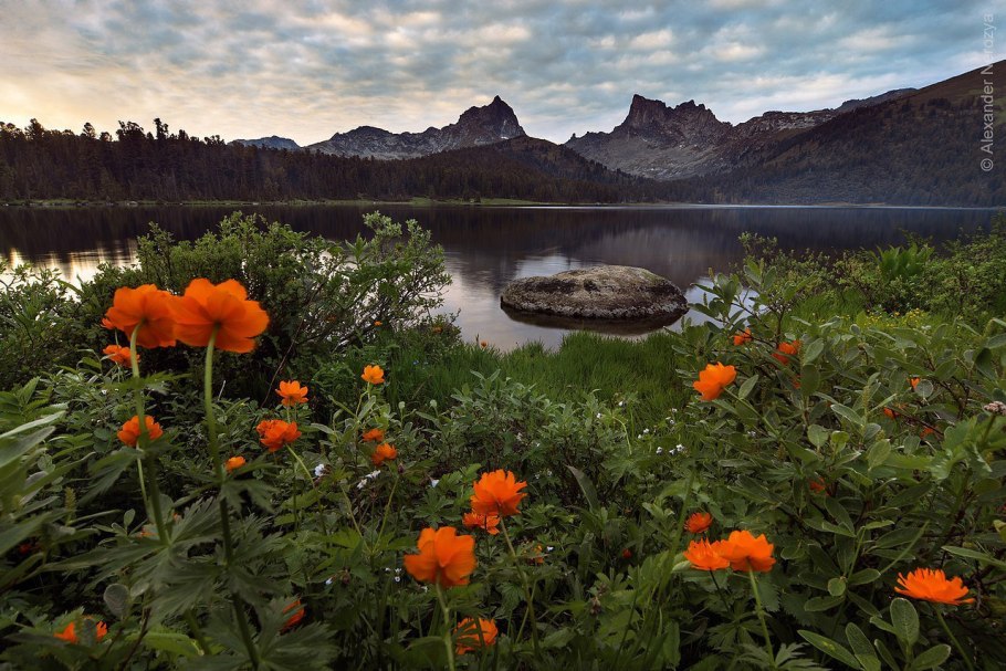 Тундра полуостров Ямал