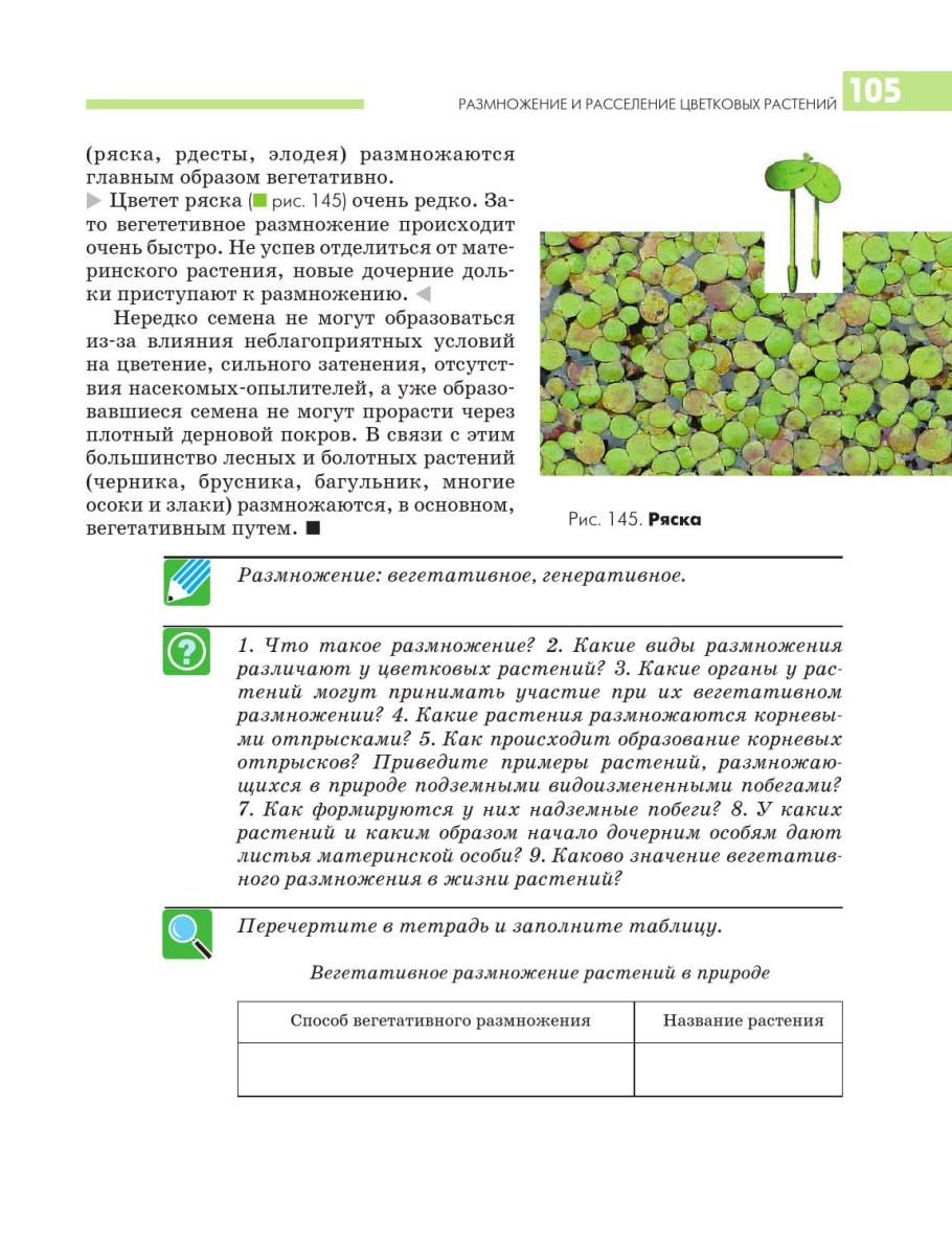 Схема полового размножения покрытосеменных