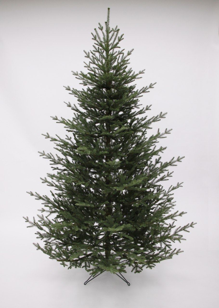 Ель Picea Mariana Beissneri