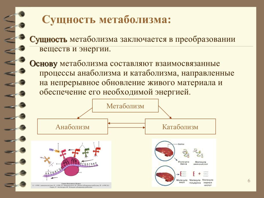 Инсулинорезистентность биохимия