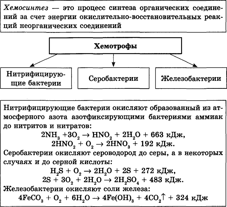 Схема фотосинтеза фотосистемы