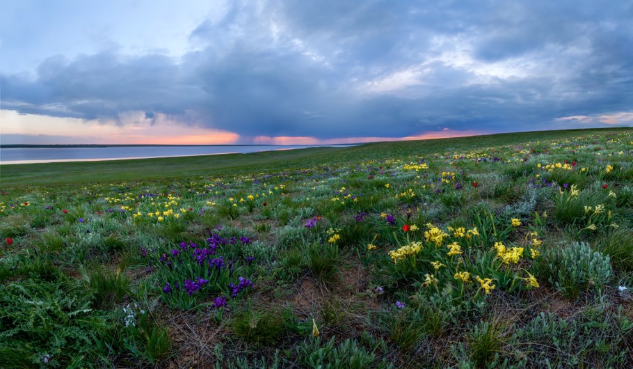 Хомутовская степь в Донецкой области