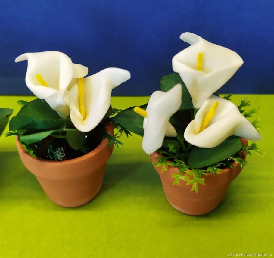 Калла Маджестик ред и Алерт