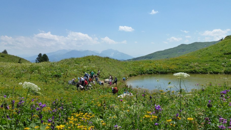 Сады Кубани Краснодарский край