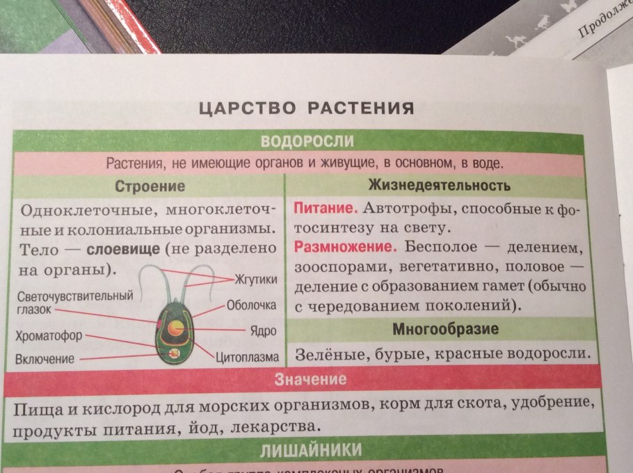 Зеленые водоросли биология 6 класс