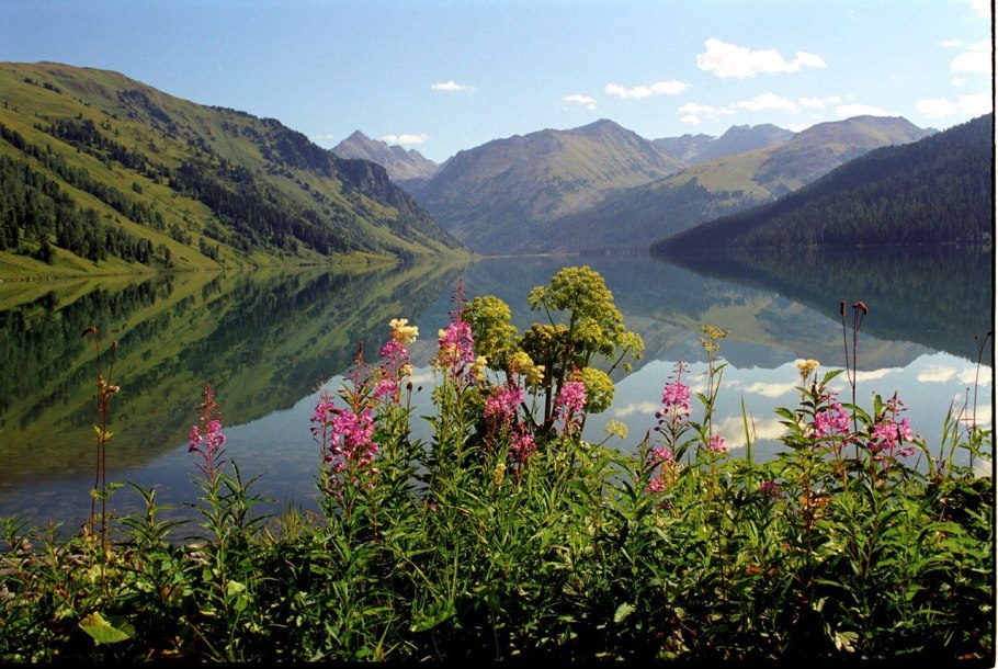 Кузнецкий Алатау заповедник Междуреченск растения
