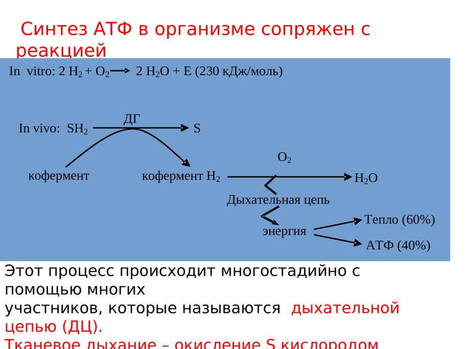 Круговорот азота в природе схема