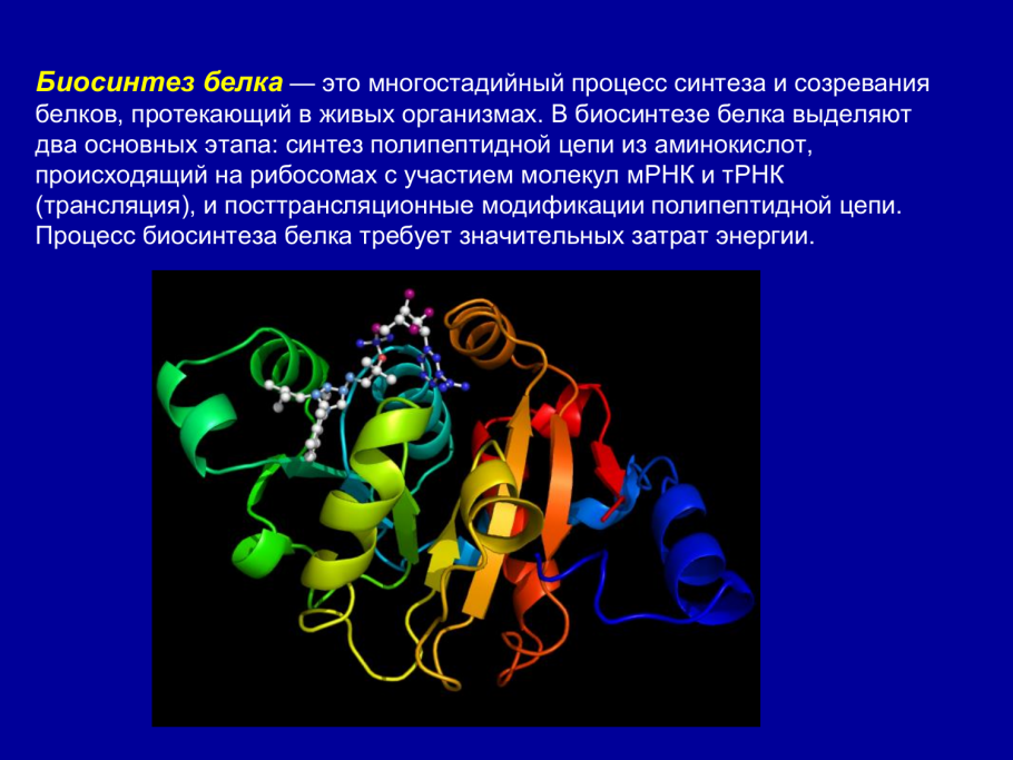 Синтез тирозина из фенилаланина