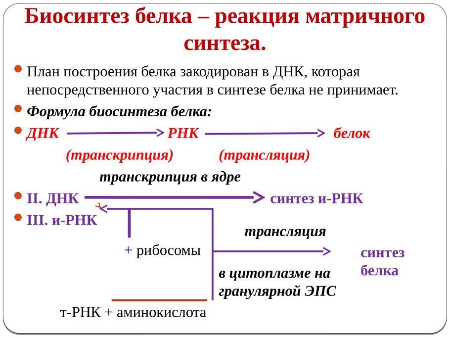 Синтез триптофана из хоризмата