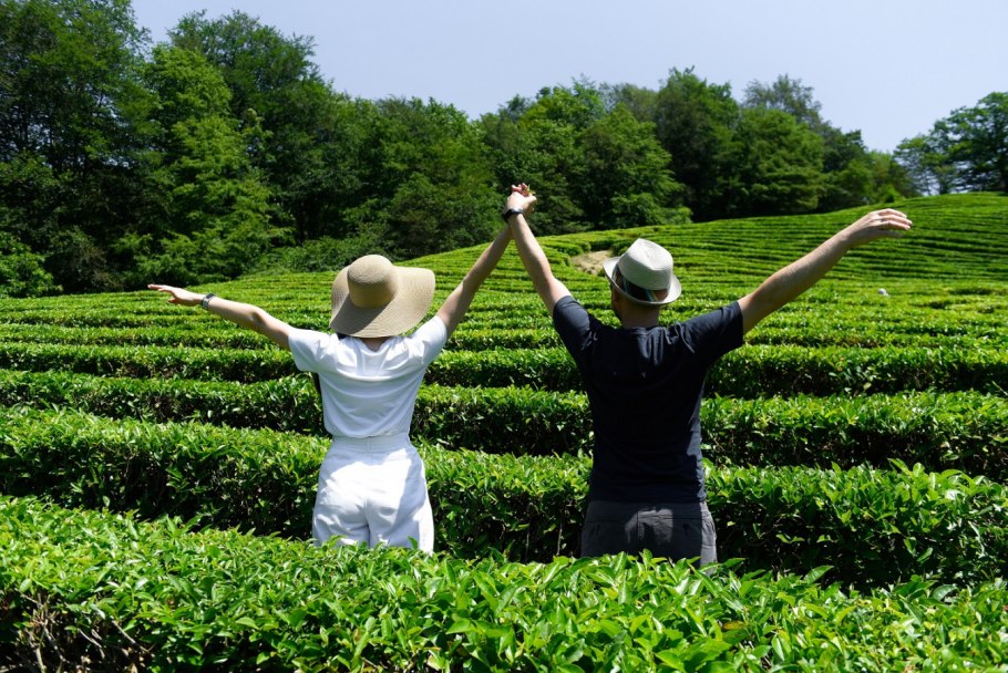 Чайная плантация Цейлон Маскелии Джеймс рьян