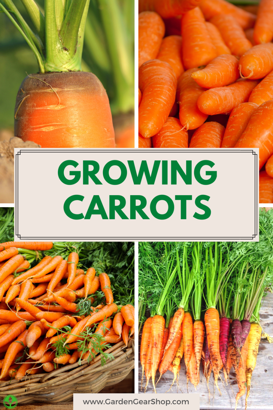 Морковный капельки для детей