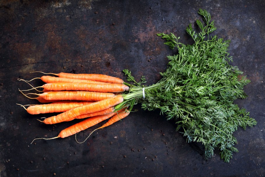 Кормовая морковь ботва