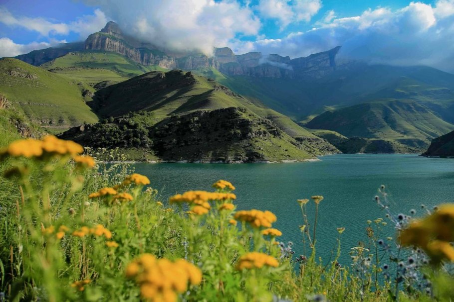 Альпийские Луга Северного Кавказа