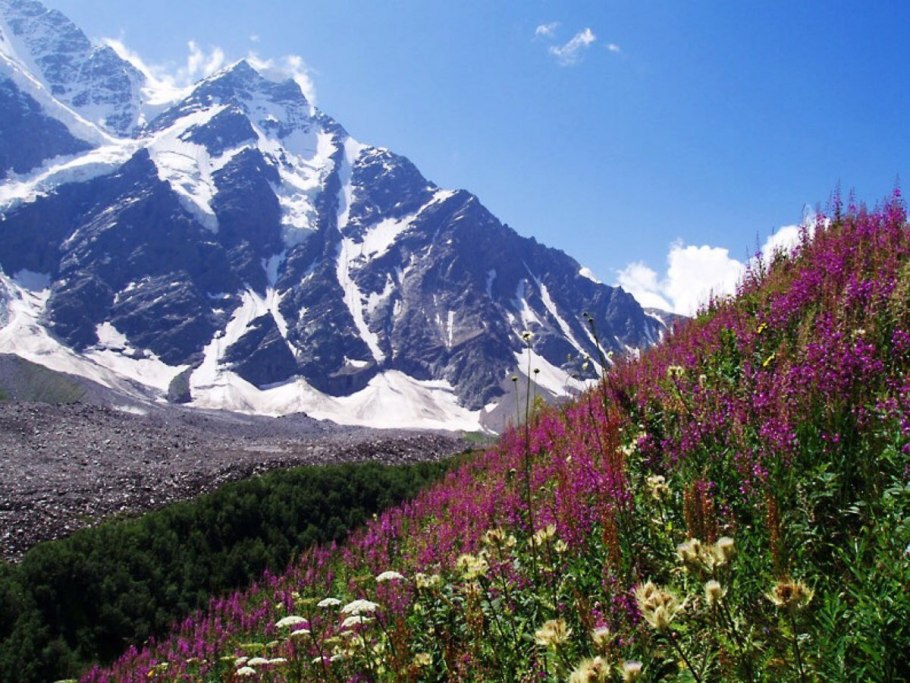 Кавказ Цейское ущелье