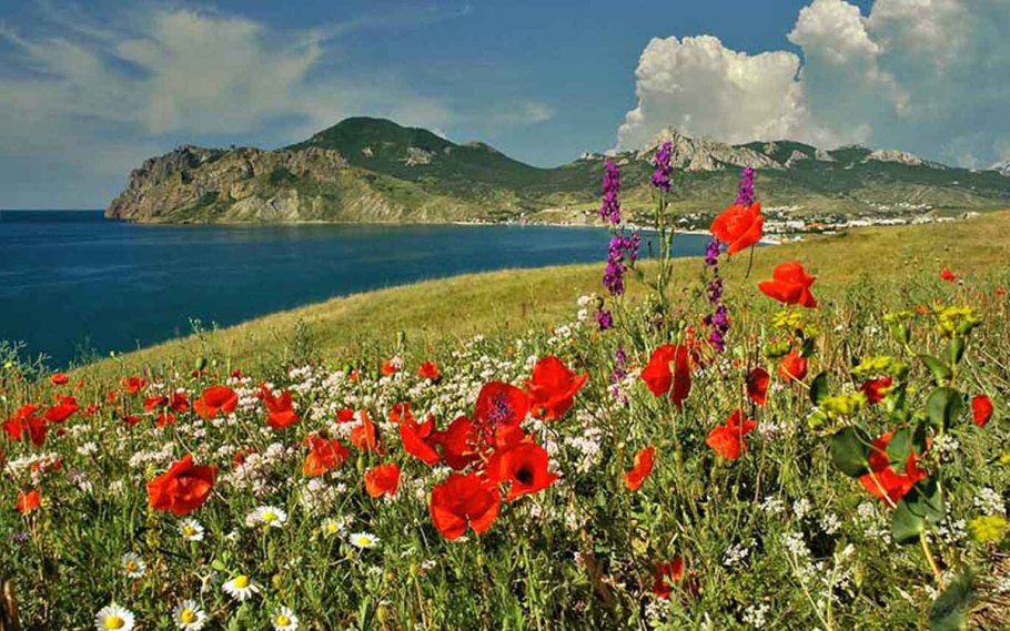 Хутор Бетта Геленджик